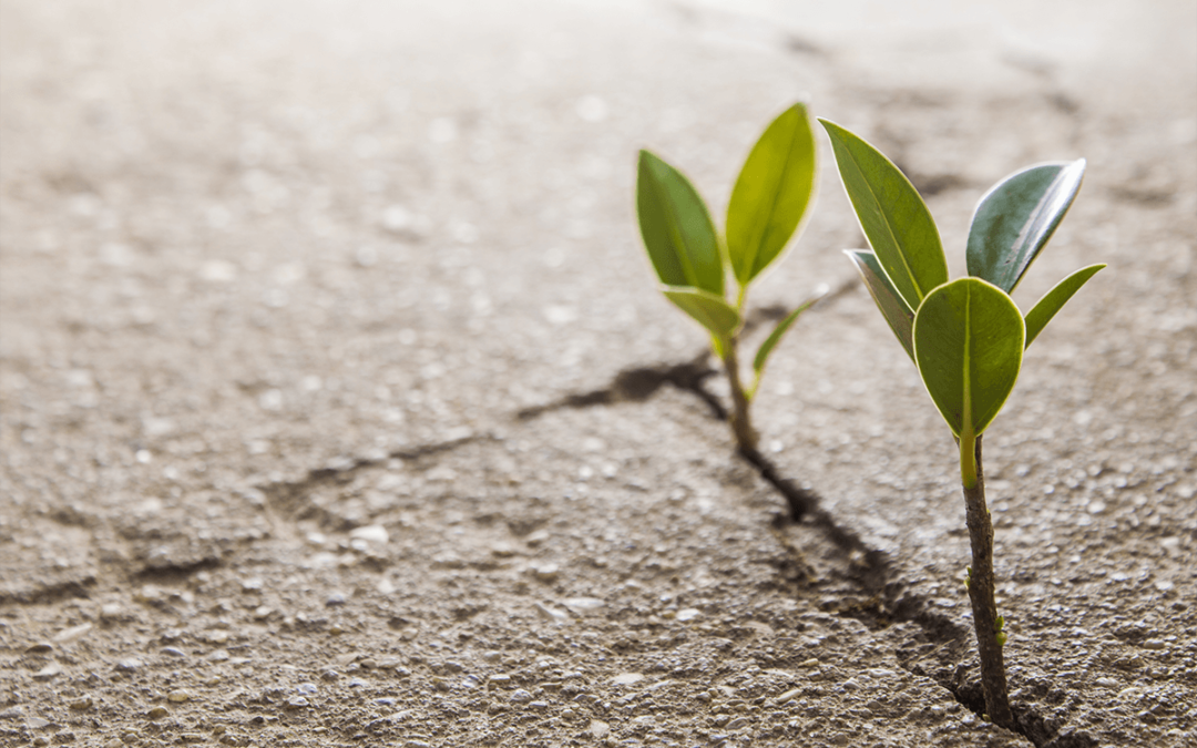 Enterprise Resiliency goes beyond Disaster Recovery